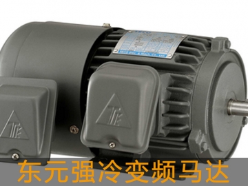 東元強冷變頻馬達
