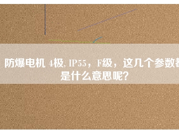 防爆電機(jī) 4極, IP55，F(xiàn)級(jí)，這幾個(gè)參數(shù)都是什么意思呢？