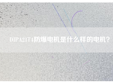 DIPA21T4防爆電機(jī)是什么樣的電機(jī)？