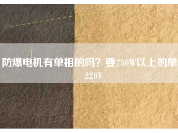 防爆電機(jī)有單相的嗎？要750W以上的單相220V