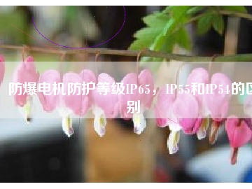 防爆電機防護等級IP65，IP55和IP54的區(qū)別