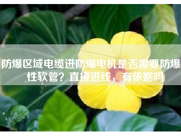 防爆區(qū)域電纜進(jìn)防爆電機(jī)是否需要防爆撓性軟管？直接進(jìn)線，有依據(jù)嗎