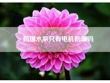 防爆水泵只有電機(jī)防爆嗎