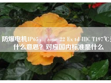 防爆電機(jī)IP65， zone 22 Ex td IIIC T197℃是什么意思？對(duì)應(yīng)國內(nèi)標(biāo)準(zhǔn)是什么