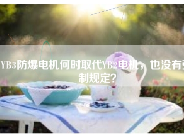 YB3防爆電機(jī)何時取代YB2電機(jī)，也沒有強(qiáng)制規(guī)定？