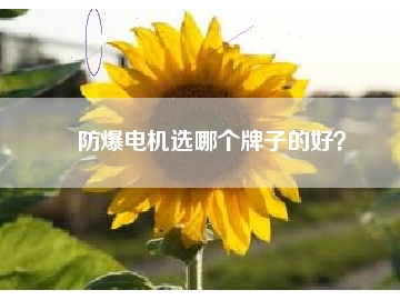 防爆電機(jī)選哪個(gè)牌子的好？