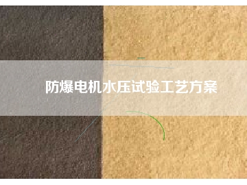 防爆電機(jī)水壓試驗工藝方桉