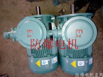 防爆電機(jī)分類：防爆電機(jī)選型、參數(shù)、定義