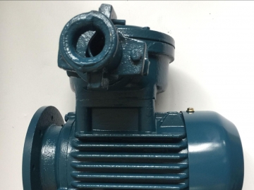 防爆電機(jī)的效率怎么樣？能耗主要在哪里損耗了？