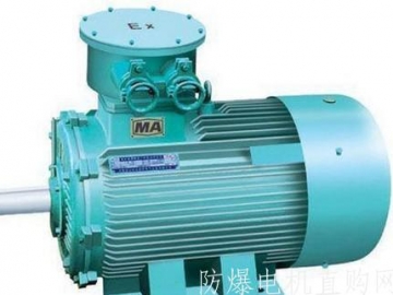 防爆電機(jī)的常見(jiàn)故障