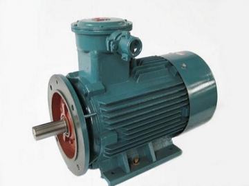 防爆電機(jī)驗(yàn)收時(shí)除了銘牌外，還要注意哪些？