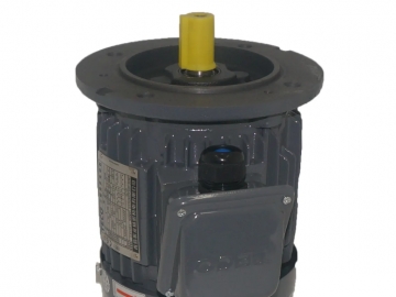 TEF3系列AEMV3N高效三相異步電機