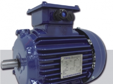 AEEV5N超超高效三相異步電機（MODEL:TEV5）