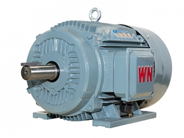 TYCP系列三相變頻驅(qū)動永磁同步電動機(jī)