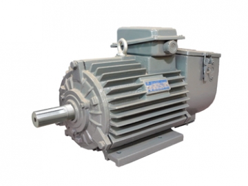 YZR系列冶金起重用三相異步電動(dòng)機(jī)