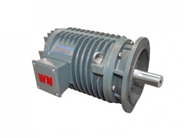 YG系列輥道用調速三相異步電動機