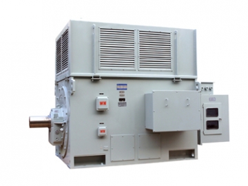 YR系列高壓三相異步電動機(jī)