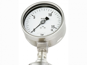 DSS19F符合EN837-1標(biāo)準(zhǔn)的壓力表，帶隔膜密封
