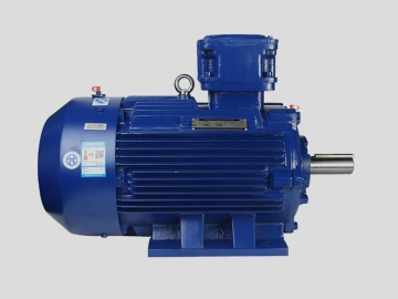 低壓高效IE3船用防爆三相異步電動機