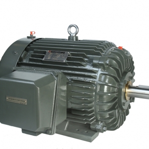 NEMA系列無火花三相異步電動機(jī)