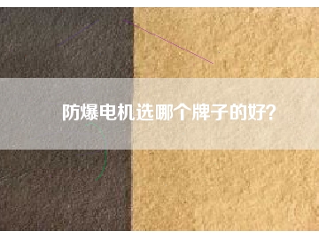 防爆電機(jī)選哪個(gè)牌子的好？