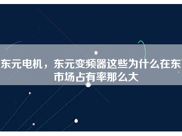 東元電機，東元變頻器這些為什么在東莞市場占有率那么大