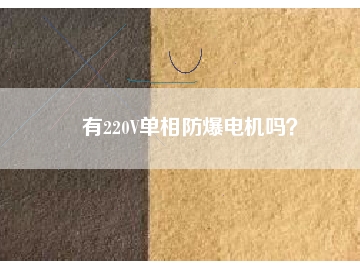 有220V單相防爆電機嗎？