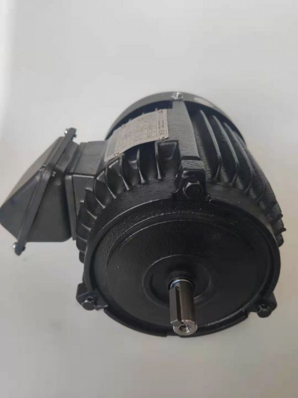 永磁電機(jī) DVEX  45KW  1000RPM  F#225M IE4效率電機(jī)