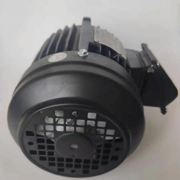 永磁電機(jī) DVEX  45KW  1000RPM  F#225M IE4效率電機(jī)