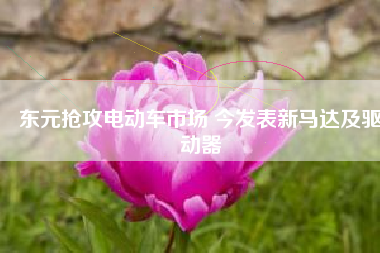 東元搶攻電動車市場 今發(fā)表新馬達及驅(qū)動器