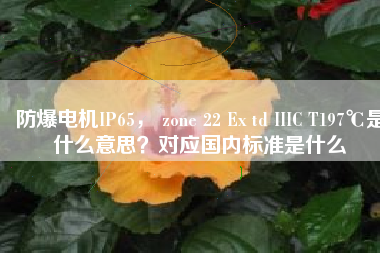 防爆電機IP65， zone 22 Ex td IIIC T197℃是什么意思？對應(yīng)國內(nèi)標準是什么