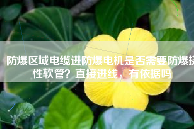 防爆區(qū)域電纜進防爆電機是否需要防爆撓性軟管？直接進線，有依據(jù)嗎