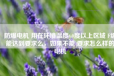 防爆電機 用在環(huán)境溫度60度以上區(qū)域 F級能達(dá)到要求么，如果不能 要求怎么樣的電機