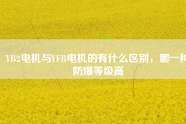 YB2電機(jī)與YFB電機(jī)的有什么區(qū)別,哪一種防爆等級(jí)高