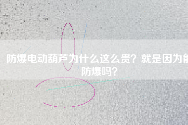 防爆電動葫蘆為什么這么貴？就是因?yàn)槟芊辣瑔幔? title=