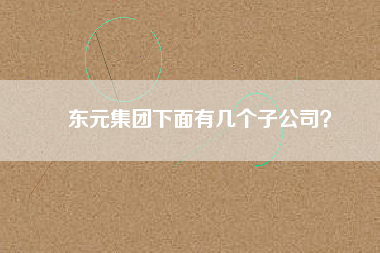 東元集團(tuán)下面有幾個(gè)子公司？