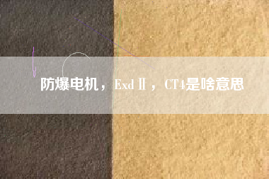 防爆電機(jī)，ExdⅡ，CT4是啥意思