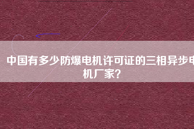 中國有多少防爆電機許可證的三相異步電機廠家？