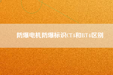 防爆電機防爆標識CT4和BT4區(qū)別 防爆電機防爆標識CT4和BT4區(qū)別