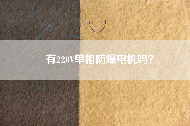 有220V單相防爆電機嗎？