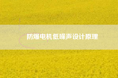 防爆電機低噪聲設(shè)計原理