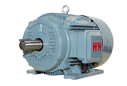 TYCP2系列三相變頻驅(qū)動永磁同步電動機(jī)